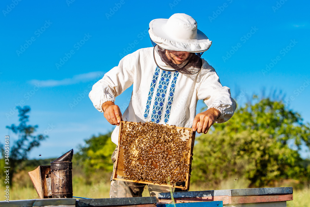 在养蜂场工作的年轻养蜂人。养蜂理念。养蜂人收获蜂蜜