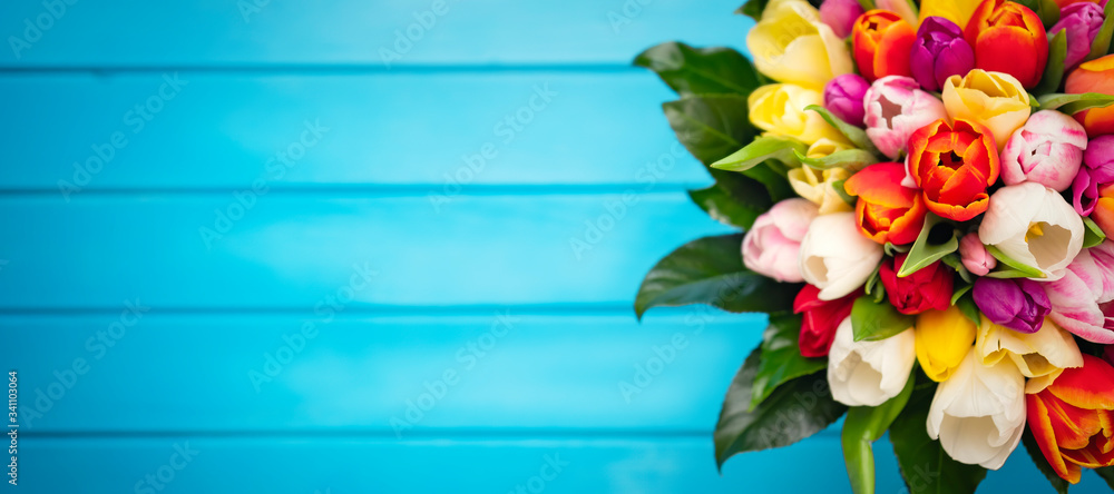 Colorful bouquet of tulips on blue wooden background. Spring flowers. Greeting card with copy space 