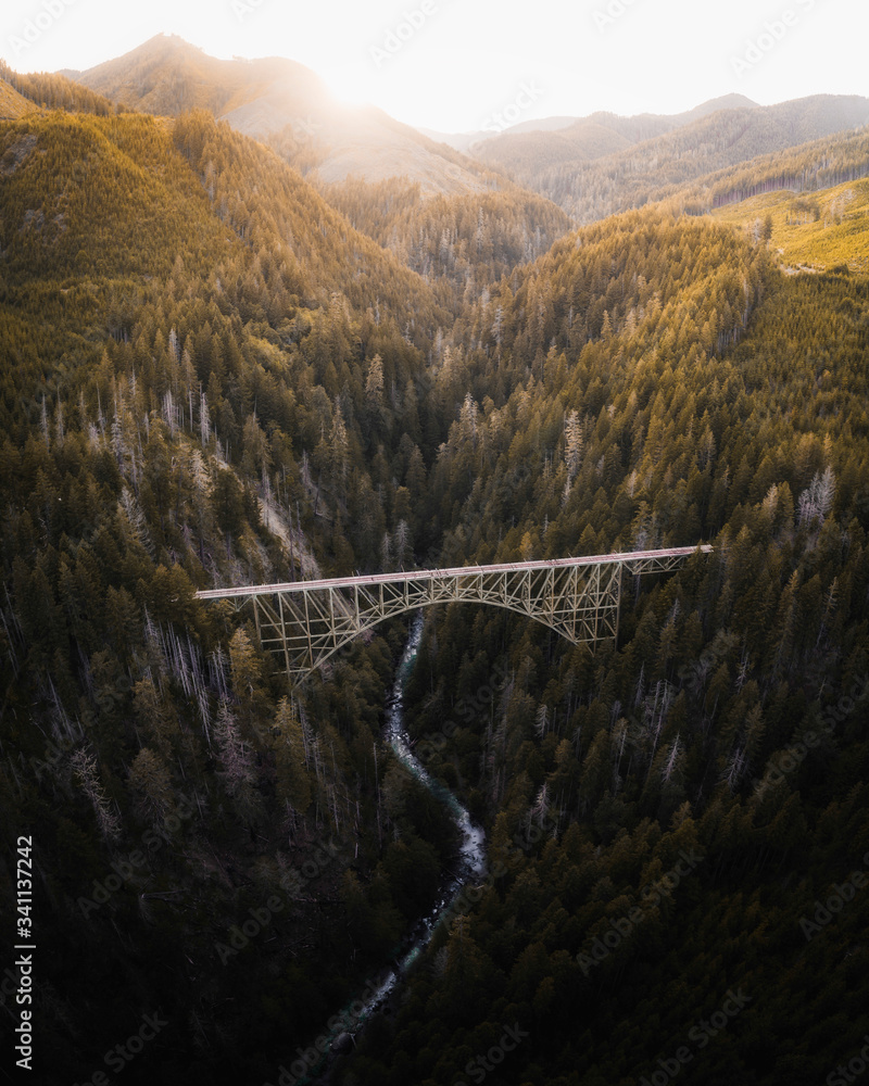 桥梁和森林的景观照片
