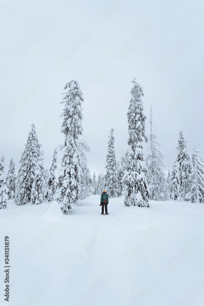 芬兰拉普兰白雪皑皑的风景摄影师徒步旅行