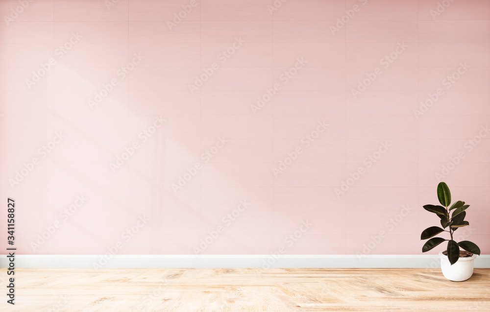 粉红色房间里的橡胶无花果