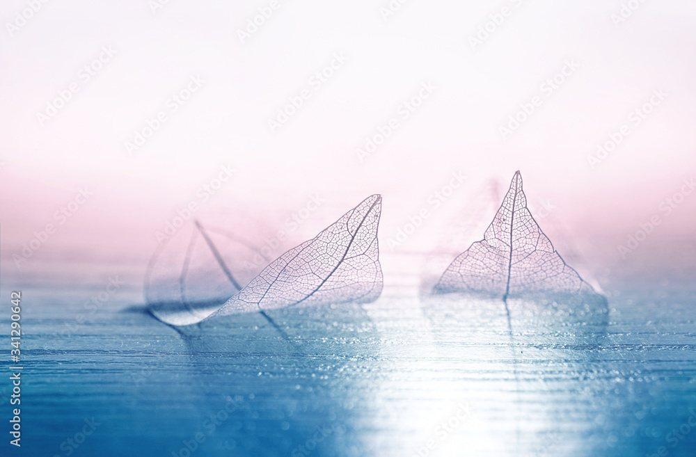 蓝色和粉色背景下，两片透明的骨架树叶，以海上船只的形式出现在雾中。罗马蒂