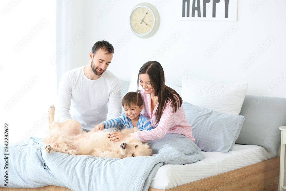 家里卧室有狗的幸福家庭