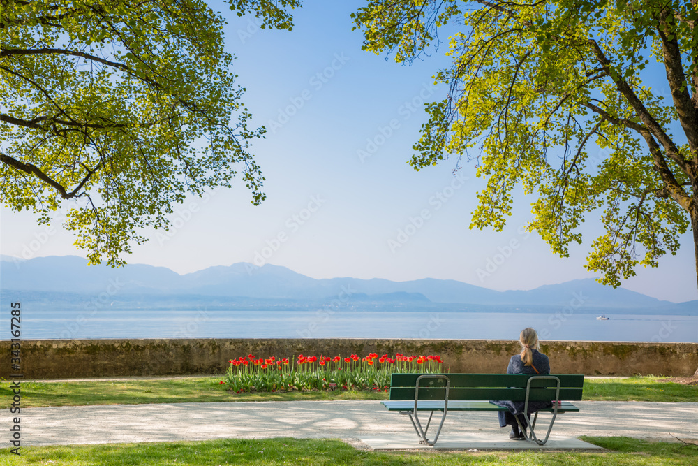 Tulips garden park festival beautiful flowers in spring season at morges city near lake leman in Swi