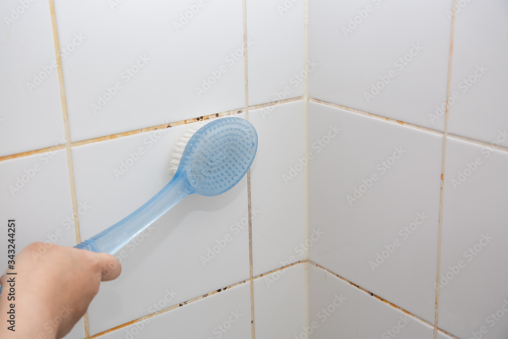 Mold or fungus of the wall in the Shower room causing black or brown mold in the bathroom or toilet 