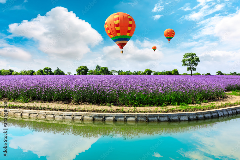 阳光明媚的日子里，紫色的薰衣草田和黄色的热气球。