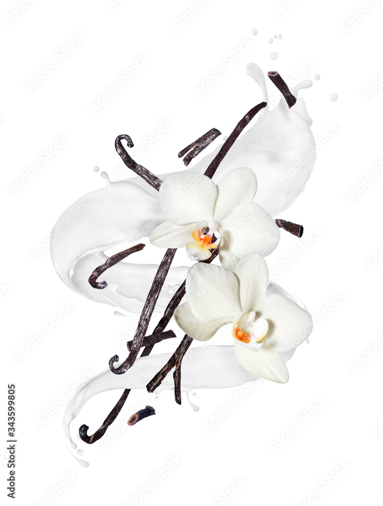 白色背景上撒着扭曲牛奶中的带花的干香草棒