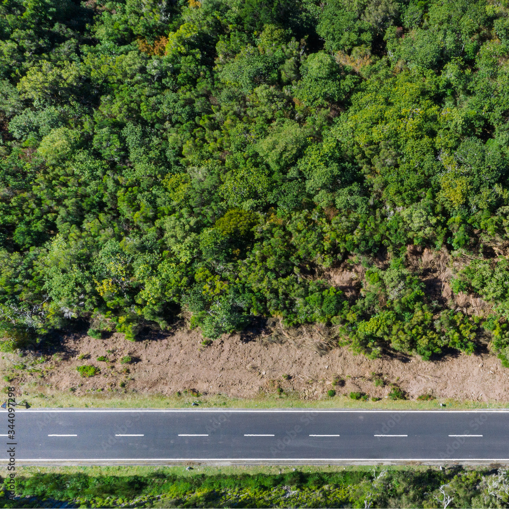Top view aerial drone shot of a straight asphalt road leading in the green forest on Madera island, 