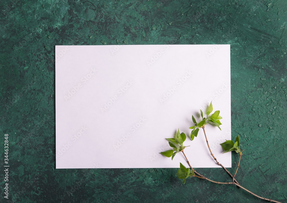 一张纸的特写。卡片。绿色背景的白纸。俯视图。平躺。弹簧