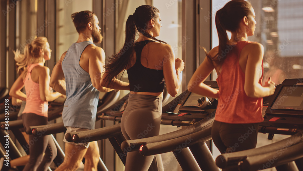 运动型人群在跑步机上跑步，进行健身运动。运动型和肌肉型人群积极