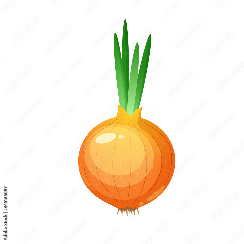 Ripe cartoon onion with green sprouts, fresh and healthy food, vector.