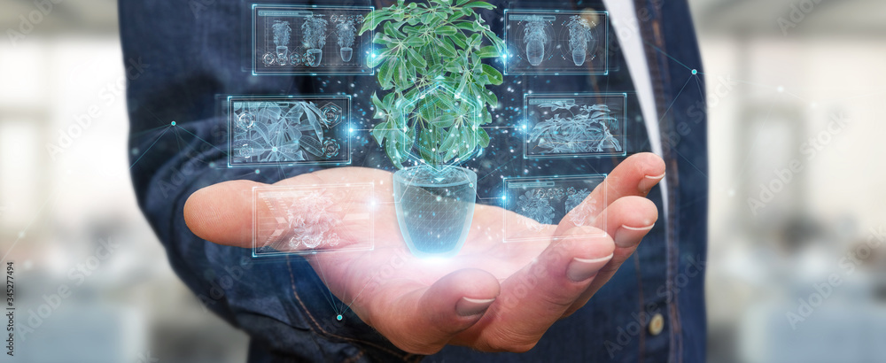 手持和触摸植物的全息投影与数字分析3D渲染