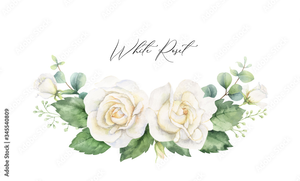 水彩矢量手绘花环，带有绿色桉树叶和白玫瑰。
