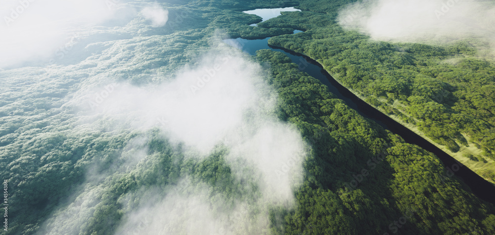 Aerial view of a dense amazonian rainforest with river. 3d rendering.