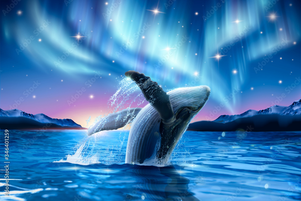 鲸鱼突破梦幻极光