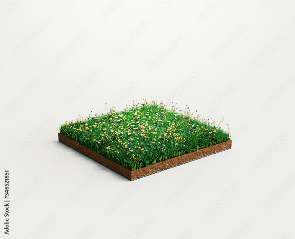 地面或土层。白色b上隔离的绿草和鲜花广场的透视空地