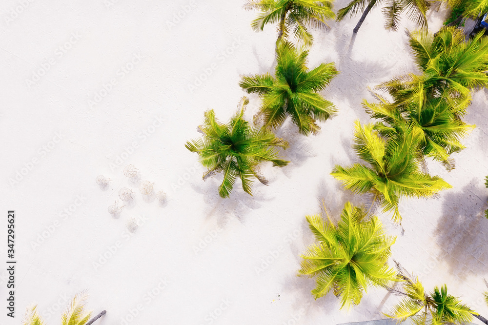 俯视图中以棕榈树和沙子为背景。无人机拍摄的海滩和沙子背景。巴厘岛