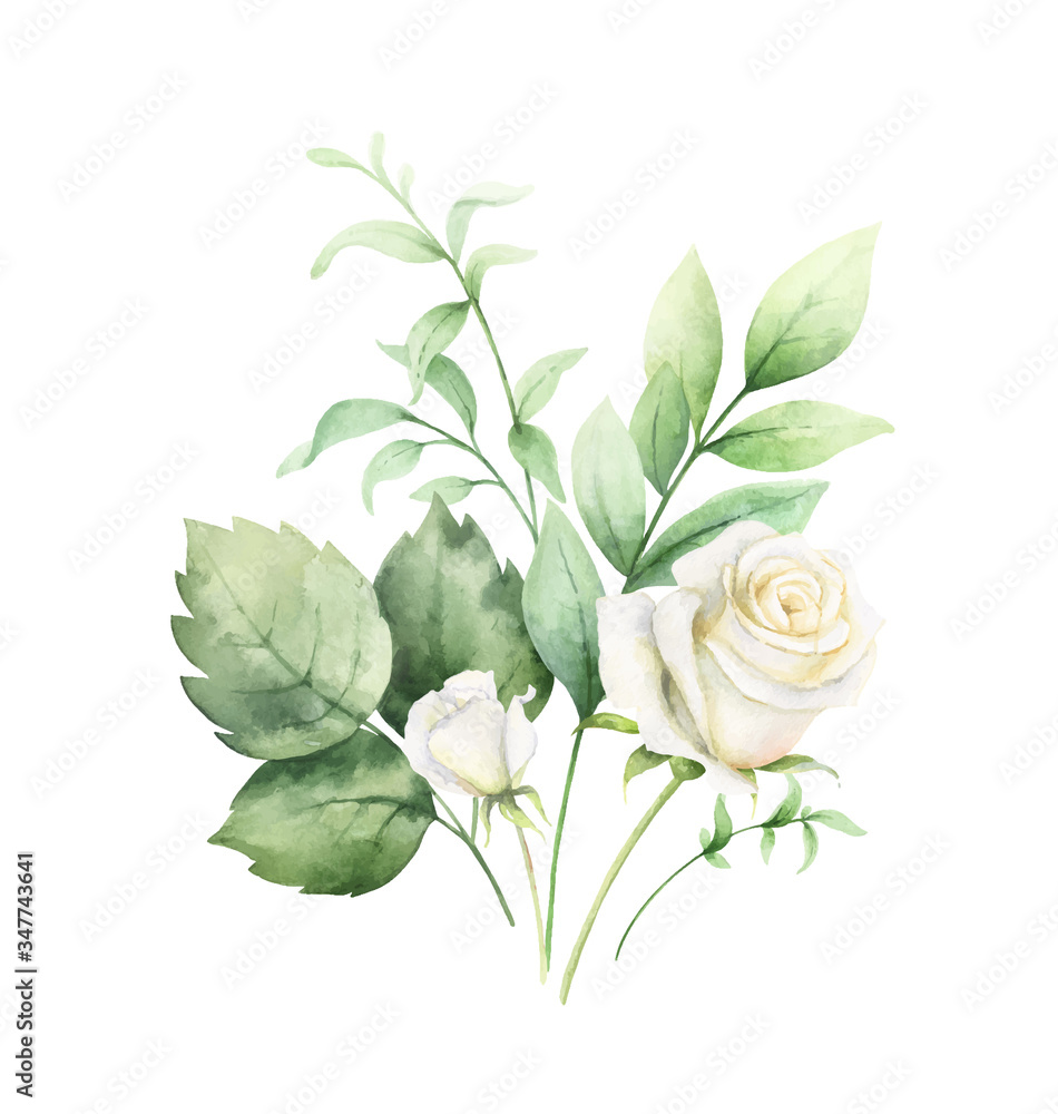 带有绿色桉树叶子和白玫瑰的水彩矢量剪贴画。