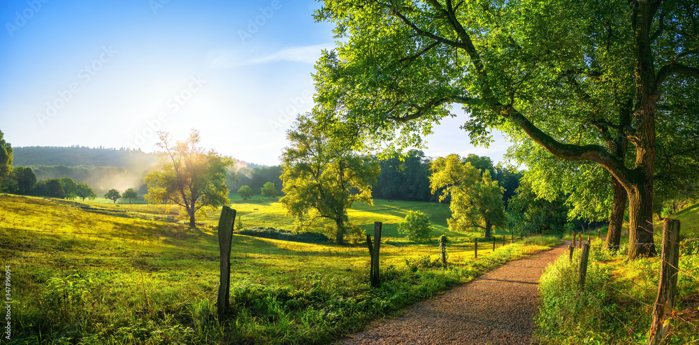 Rural landscape with a path, trees and meadows on hills, blue sky and pleasant warm sunshine from th