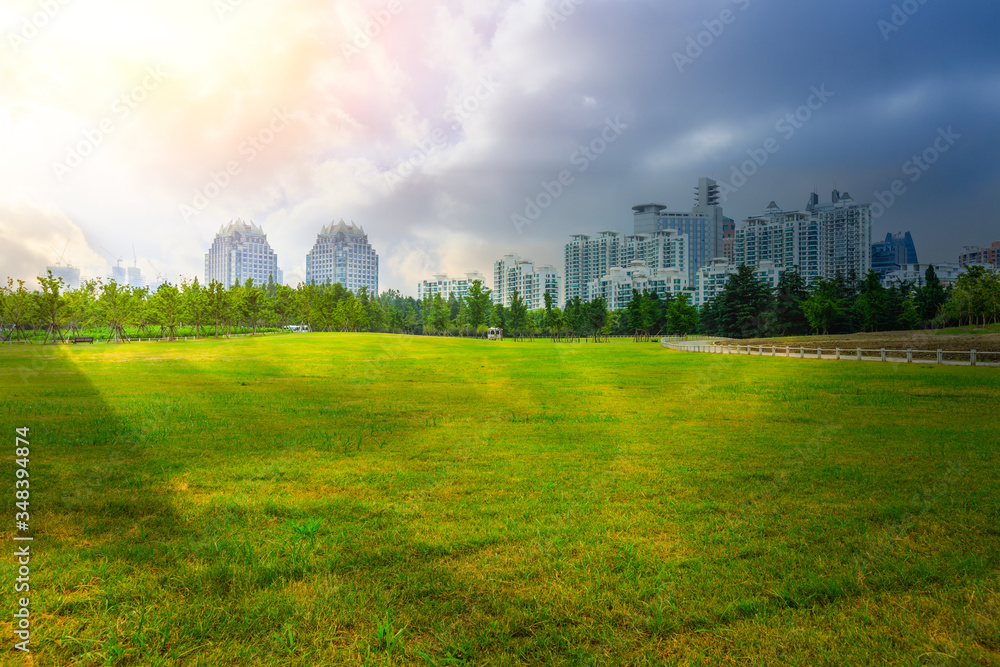 中国上海，绿草如茵，城市天际线林立。