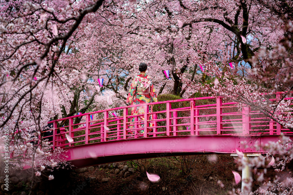 旅行女孩走在樱花园的木桥上