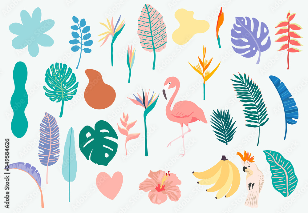 火烈鸟、香蕉、鹦鹉和花朵的夏季物品系列。图标、标志、st的矢量插图