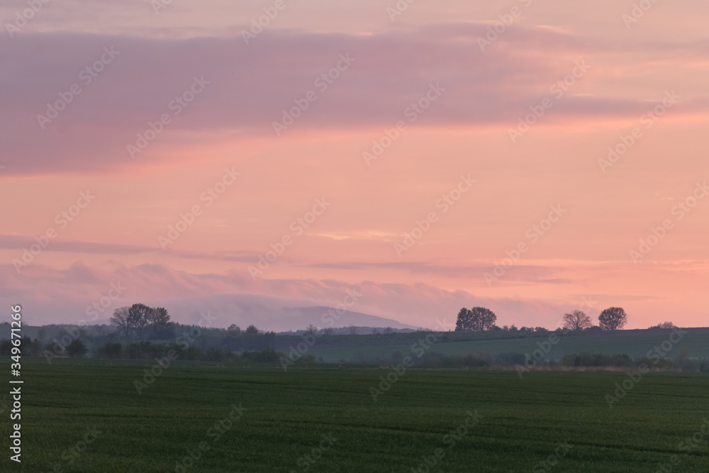 Beauty sunset with pink sunset sky and evening fog on spring wheat field. Nature landscape photograp