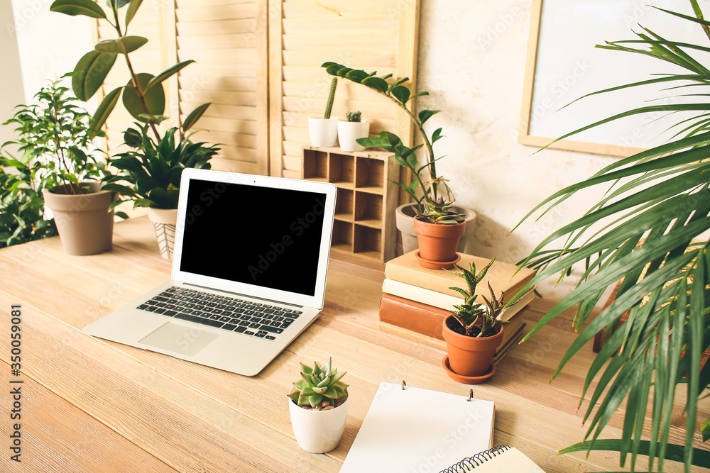Comfortable workplace with modern laptop and green houseplants