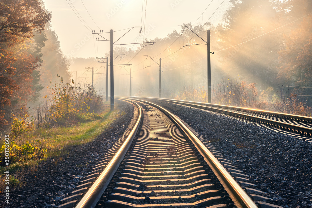 秋天日出，雾中的美丽森林中有铁路。有铁路的多彩工业景观