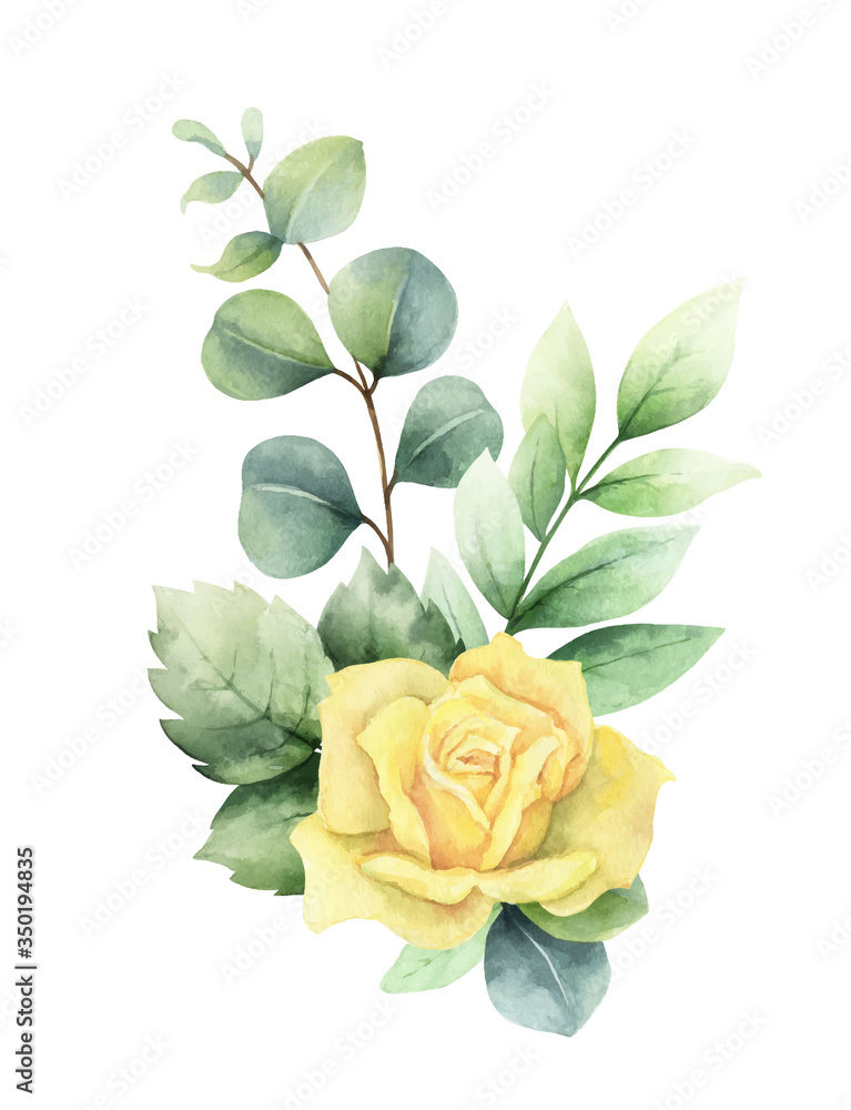 水彩矢量手绘剪贴画，带有绿色桉树叶和玫瑰。