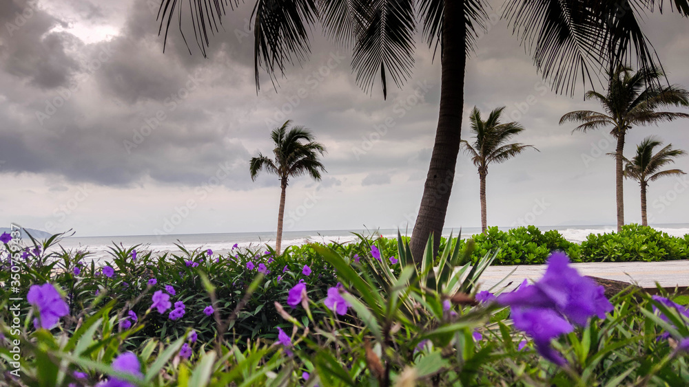 在海边的海滩上，有鲜艳的粉红色和紫色的花朵和棕榈树与鹳一起绽放的风景