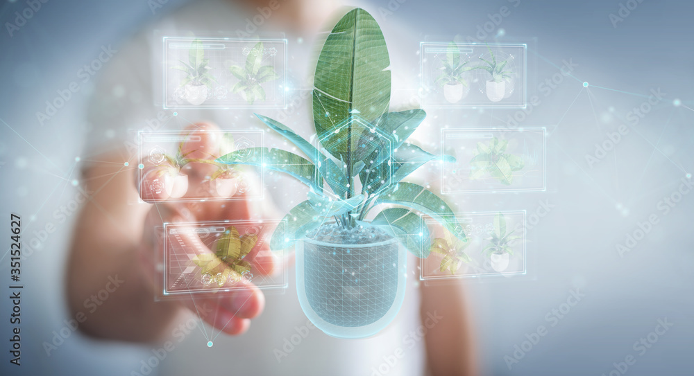 手持和触摸植物的全息投影，数字分析3D渲染