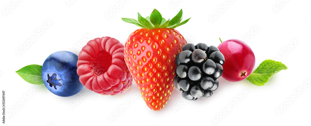 孤立的浆果。蓝莓、覆盆子、草莓、黑莓和蔓越莓在一排上被孤立