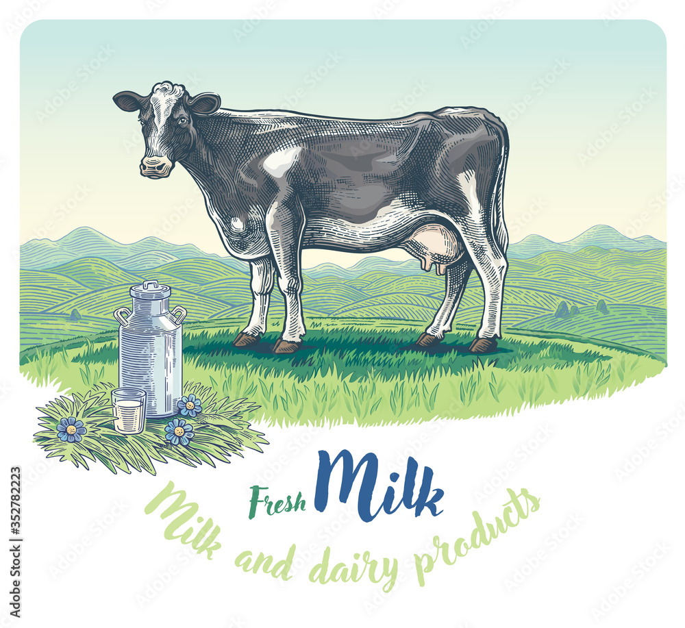 奶牛，以图形风格绘制，以山丘和ca的乡村景观为背景