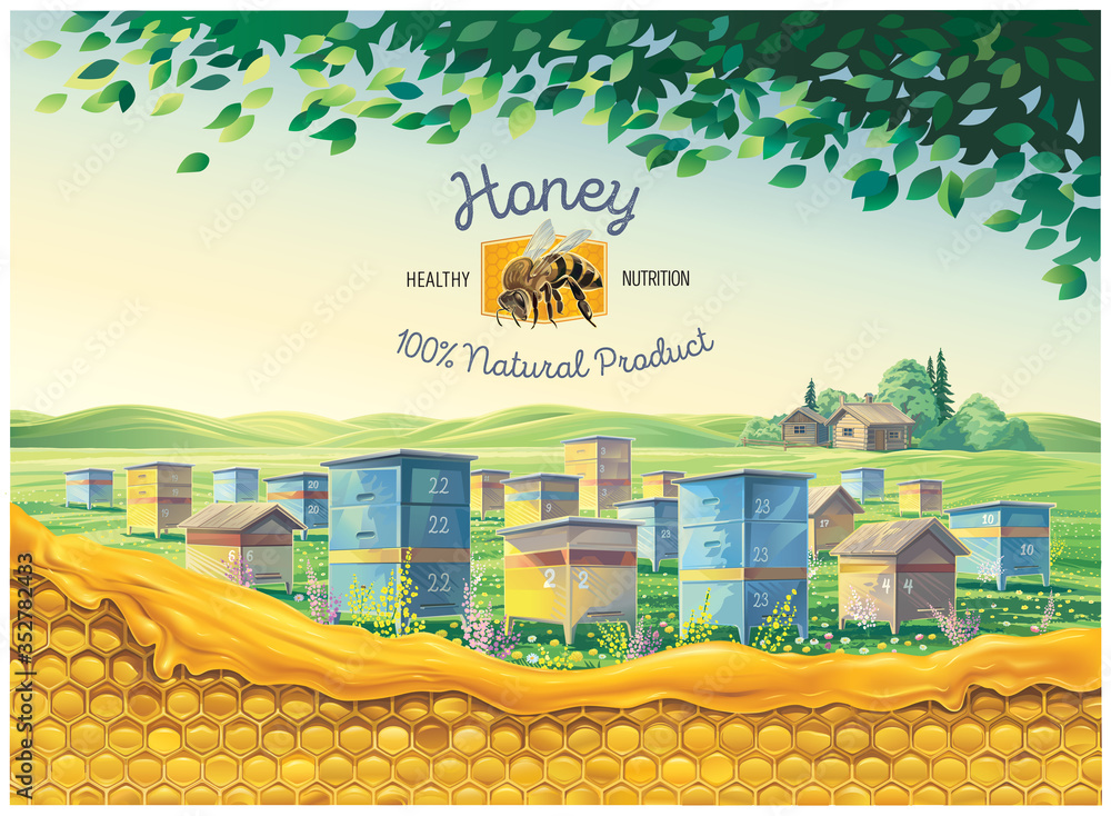 乡村景观中的养蜂场，前景是蜂窝，是一幅象征性的插图