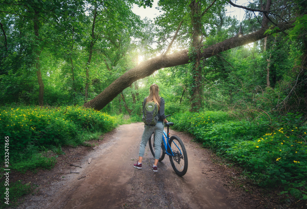 春天日落时，一个女人在森林里骑自行车。五颜六色的风景带着运动型的女孩。