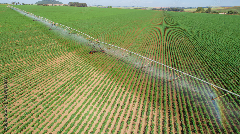 阳光明媚的夏日农业灌溉系统。中央枢轴洒水系统的鸟瞰图