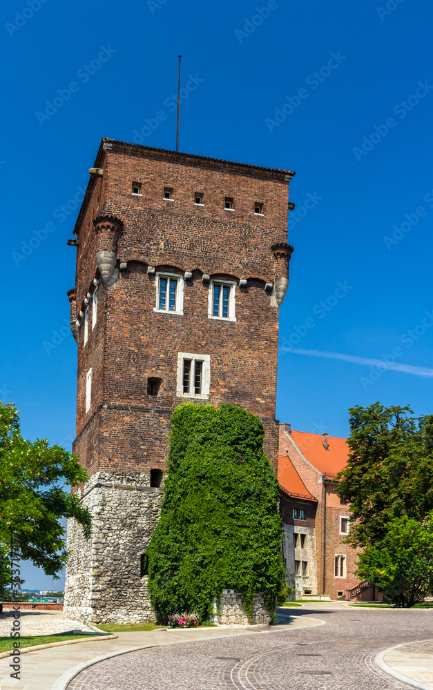 波兰克拉科夫瓦维尔皇家城堡塔