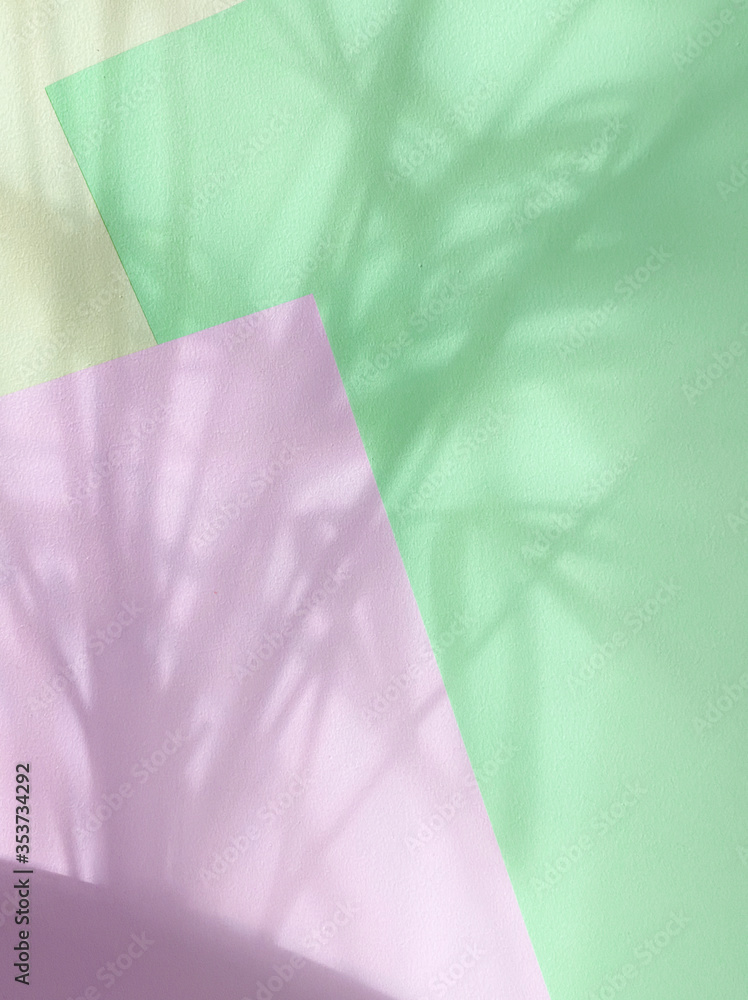colored paper background with palm shadows