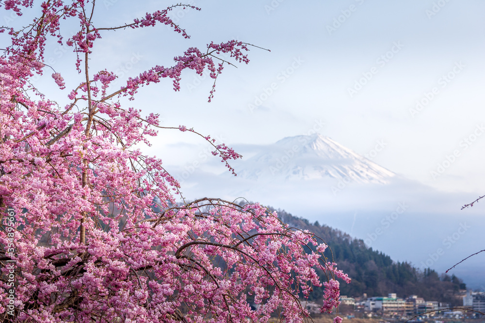 日本箱根阿势湖畔的樱花和富士山