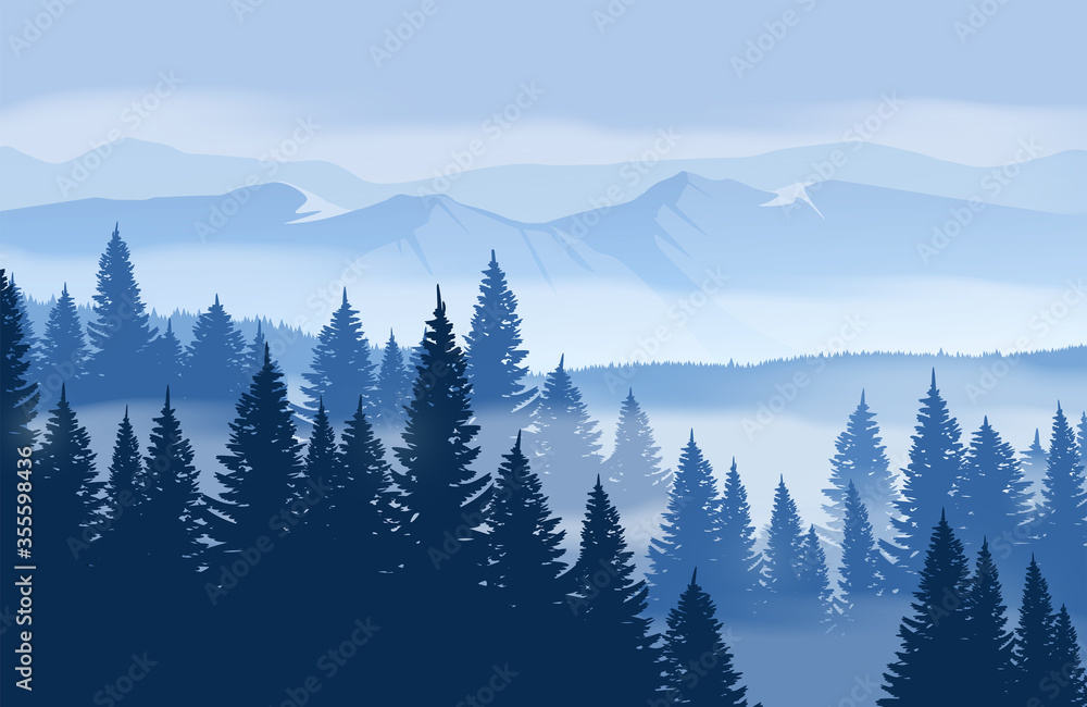 冬季山脉景观和雾蒙蒙的森林。