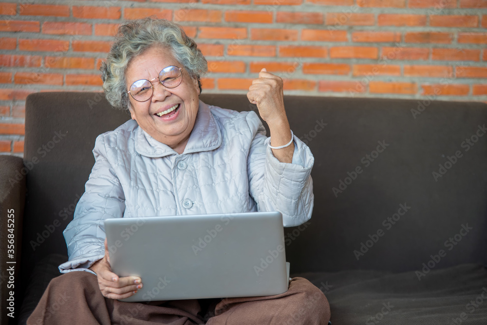 老妇人用笔记本电脑上网，在隔离封锁期间在家工作，保持社交距离