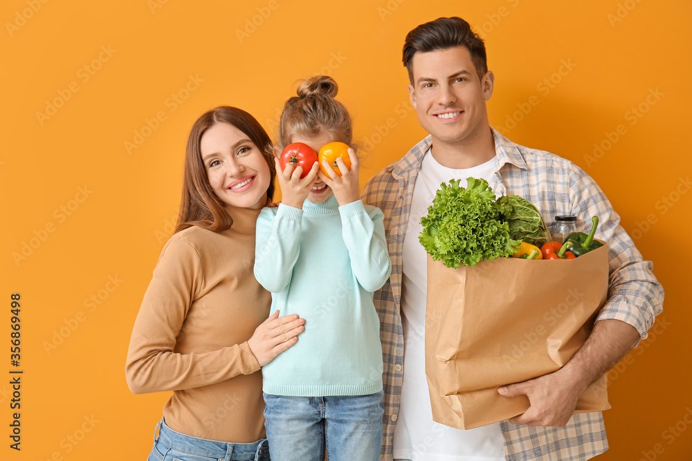 彩色背景的袋装食物家庭