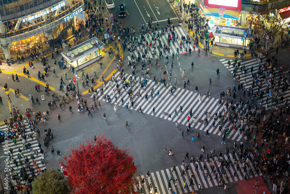 Top view of crowd people pedestrians walking cross zebra crosswalk in Shibuya