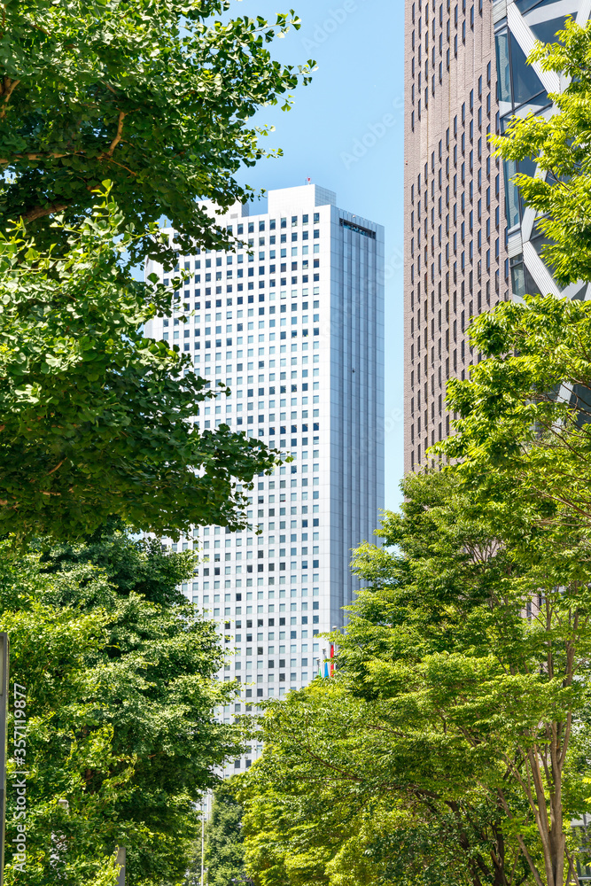 新緑が綺麗な西新宿高層ビル群