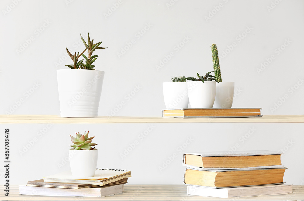 浅色背景下书架上摆放着书籍的绿色室内植物