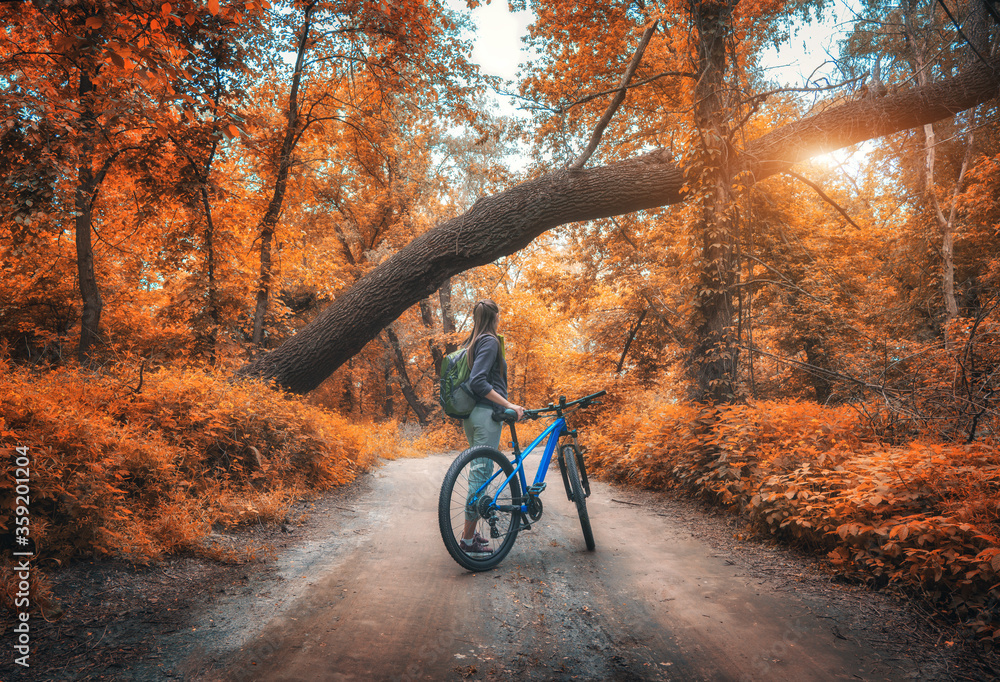 秋天日落时，一名女子在森林里骑自行车。五颜六色的风景带着运动型的背女孩