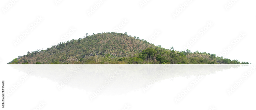 rock mountain with forest isolate on white background