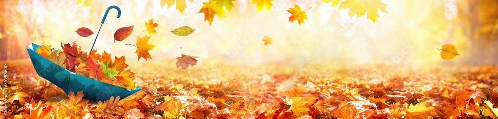美丽的秋天背景景观。公园里秋天落叶的橙色地毯和蓝色雨伞