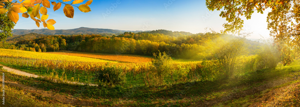 秋天的全景乡村景观，葡萄园、山丘、充满活力的蓝天和阳光，fr